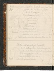 Seite 54, Tagebuch "Palästina (Tagebuch)" (NHMW-PRAE-BBB-80)
